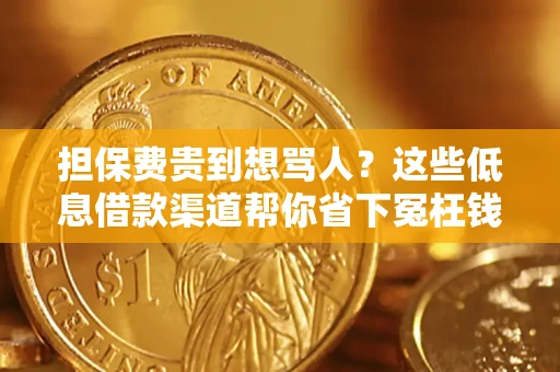 济南担保费贵到想骂人？这些低息借款渠道帮你省下冤枉钱