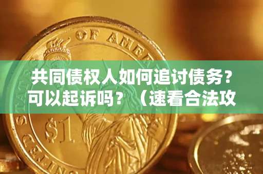 济南共同债权人如何追讨债务？可以起诉吗？（速看合法攻略）